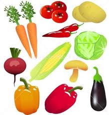 Nosso Blog Vegetarianismo2